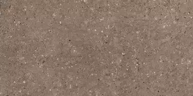 G214 Arkaim Brown MR 60x120