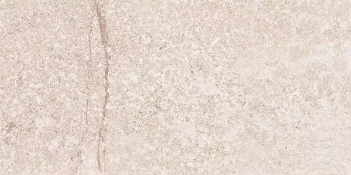 G302 Shunut Beige MR 60x120