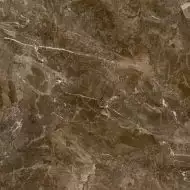 G317-Sinara Bronze MR 60x60