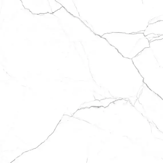 G391 Neiva Elegant MR 60x60