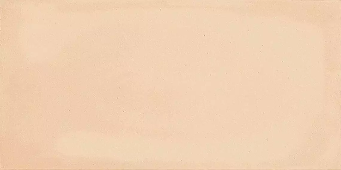 GESSO 1020TC Terracotta 10x20