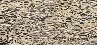 GHEPARD6 260LP The Room 120x260