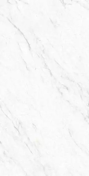 GI8009-B Керамогранит Lazio Bianco Matt Glossy Ink Punch 60x120