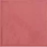 GIORNO ROJO 20*20