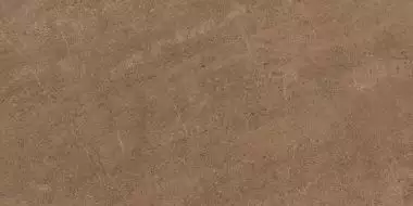 GO02 Gobi Dark Beige неполированный 60x120