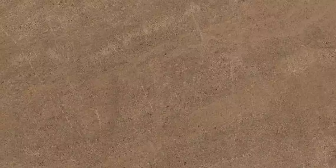 GO02 Gobi Dark Beige неполированный 60x120