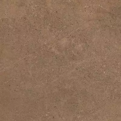 GO02 Gobi Dark Beige неполированный 60x60