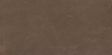 GO03 Gobi Brown Grey неполированный 60x120