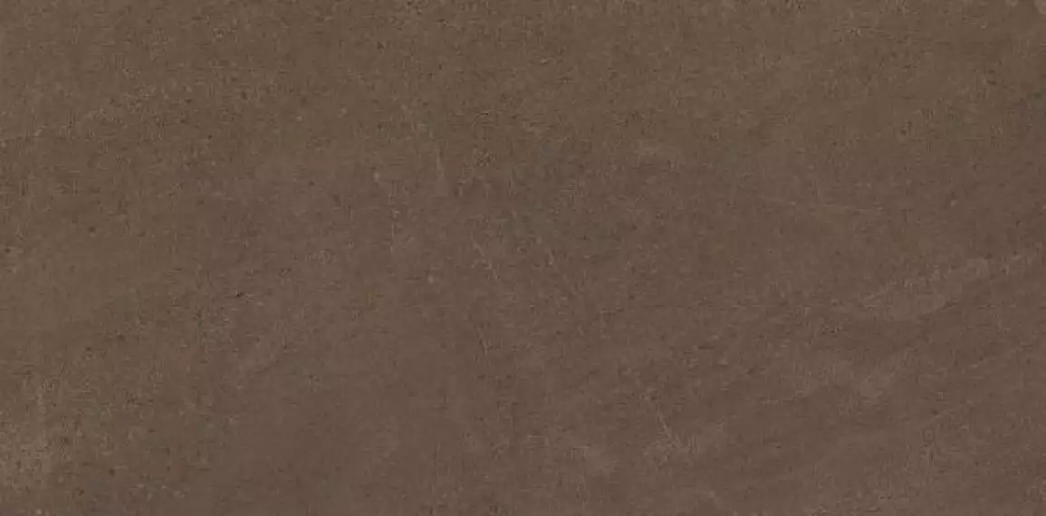 GO03 Gobi Brown Grey неполированный 60x120
