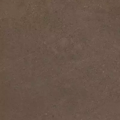 GO03 Gobi Brown Grey неполированный 60x60