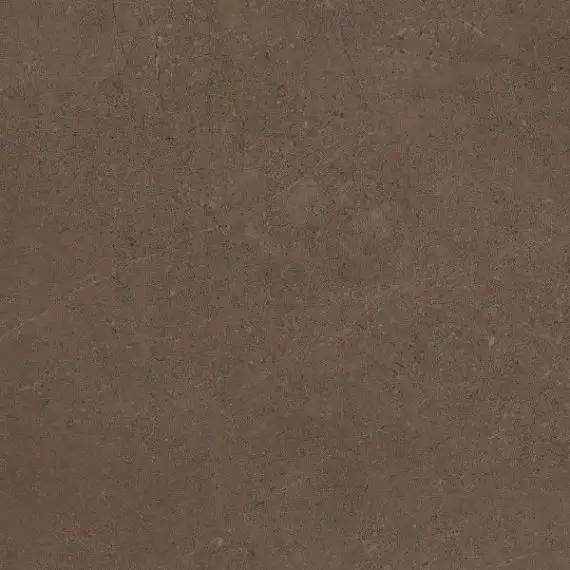 GO03 Gobi Brown Grey неполированный 60x60