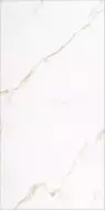 GOLDEN CARRARA 60x120