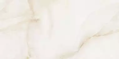 GOLD ONIX 60x120