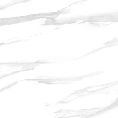 GP40STA00 Statuario Silver 60x60x9.5
