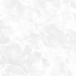 GR186510 Керамогранит Maysa Polished 80х80