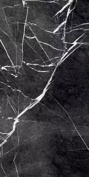 GR203 Fedele Negro High glossy 600x1200