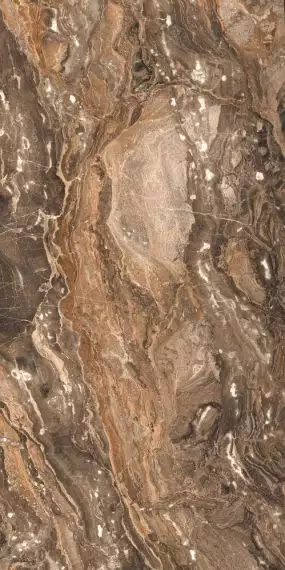 GR204 Richter Brown High glossy 600x1200