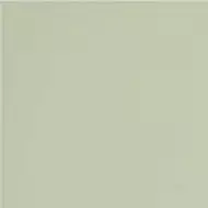 GT079M RAL6021 Зеленый чай матовый 60x60