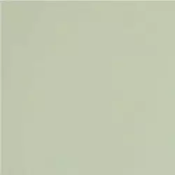 GT079M RAL6021 Зеленый чай матовый 60x60
