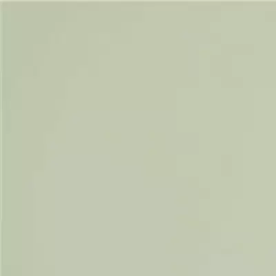 GT079M RAL6021 Зеленый чай матовый 60x60