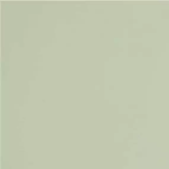 GT079M RAL6021 Зеленый чай матовый 60x60