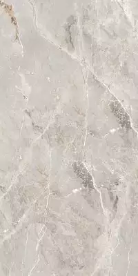 GT1206012101SPR Керамогранит Tulip Серый Soft Sugar 60x120