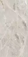 GT1206012101SPR Керамогранит Tulip Серый Полированный 60x120