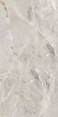 GT1206012101SPR Керамогранит Tulip Серый Полированный 60x120