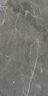 GT1206012109SPR Керамогранит Tulip Темно-Серый Soft Sugar 60x120