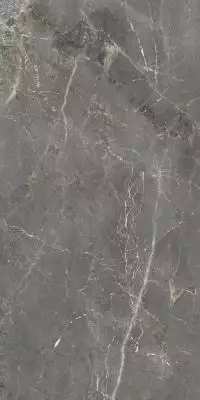 GT1206012109SPR Керамогранит Tulip Темно-Серый Полированный 60x120