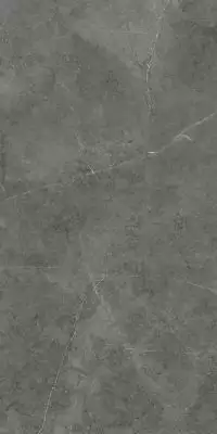 GT1206013009LR Керамогранит Nioba Темно-серый 60x120