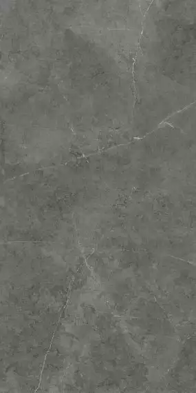 GT1206013009LR Керамогранит Nioba Темно-серый 60x120