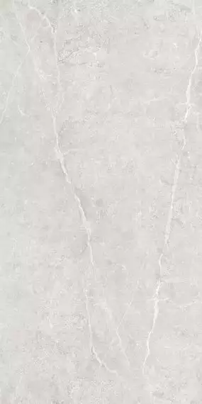GT1206020506LGR Керамогранит Ideal Светло-серый лаппатированный 60x120