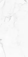 GT120604803PR Керамогранит Elegant Statuario Белый 60x120