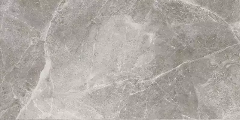 GT200VG Плитка Futuris Серая 60x30