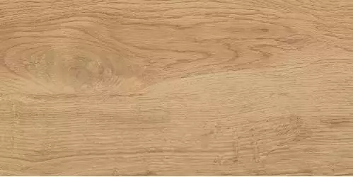 GT220VG Керамогранит Florida Бежевый 30x60