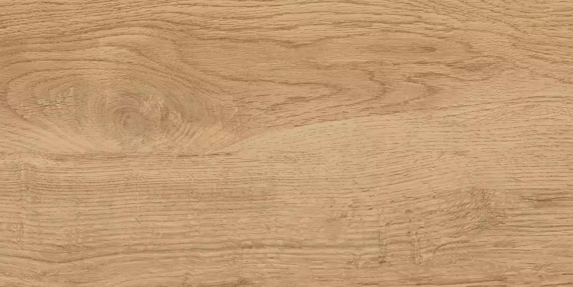 GT220VG Керамогранит Florida Бежевый 30x60