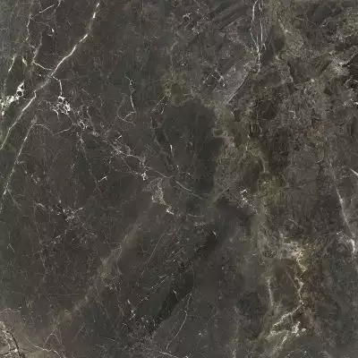 GT606011805MR Керамогранит Fontanedo Черный 60x60