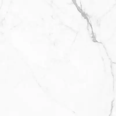 GT60604803PR Керамогранит Elegant Statuario Белый 60x60