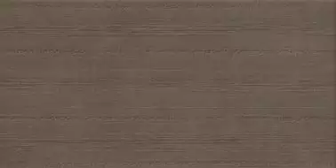 GT802VG Плитка Brasiliana Коричневый 50x25