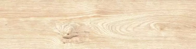 GT807VG Керамогранит Alaska Белый 60x15,1