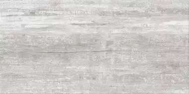 GT89VG Плитка Neo Loft дерево 50x25