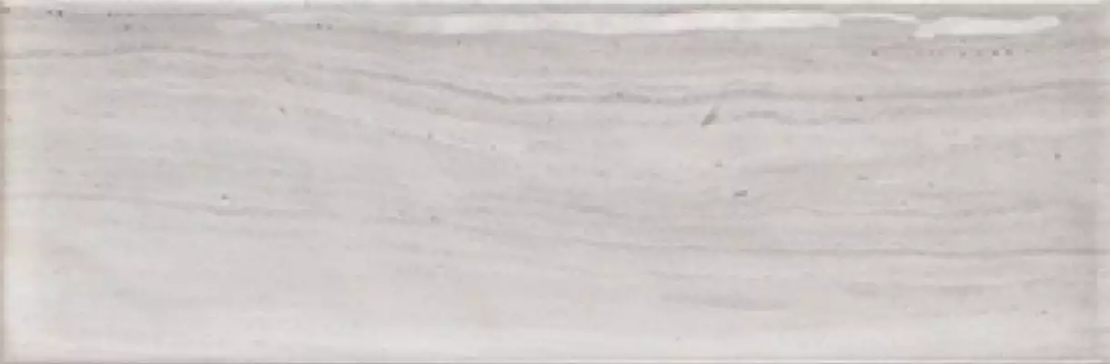 Genesis Gris Brillo 10x30