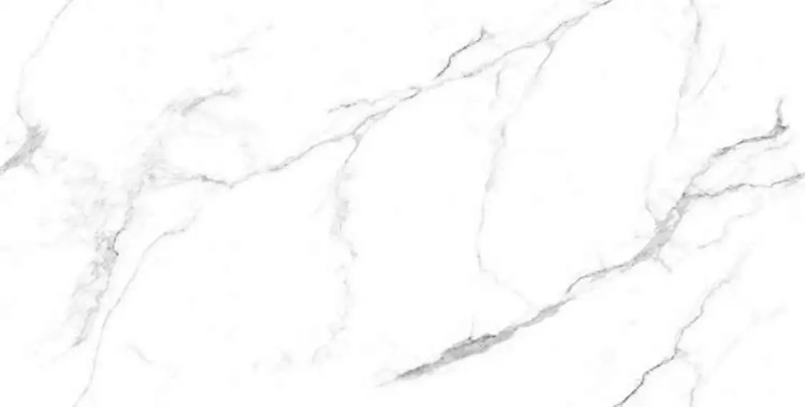 Glorious White Glossy 60x120