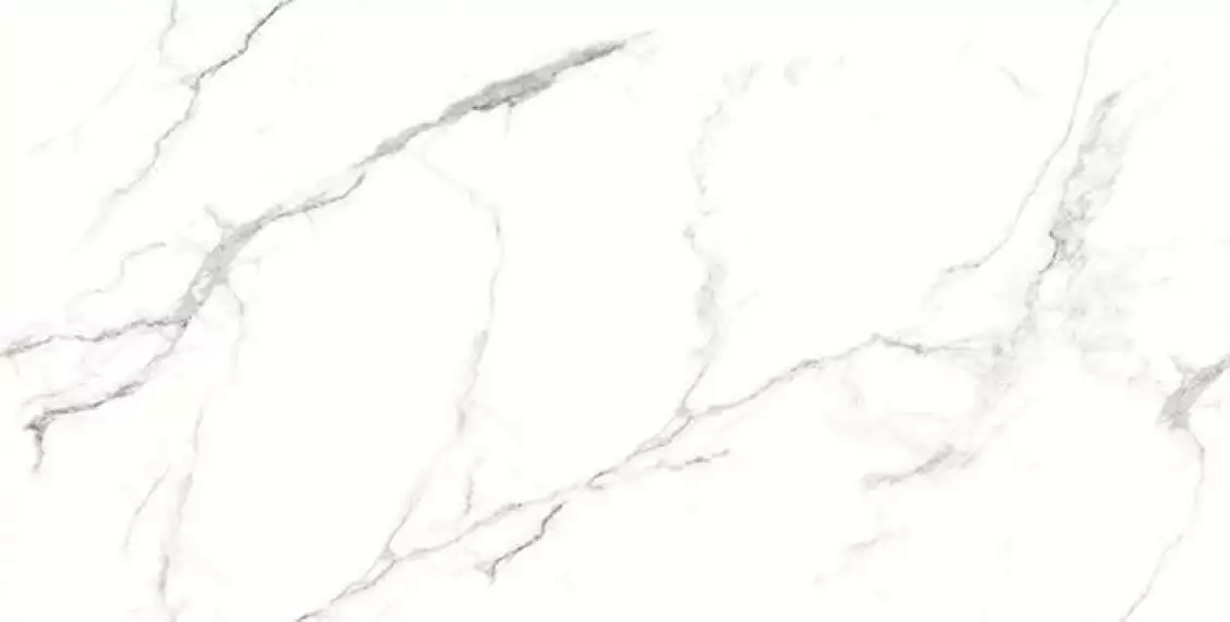 Glorious White Sugar 60x120