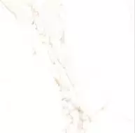 Golden Statuario матовый 60x60