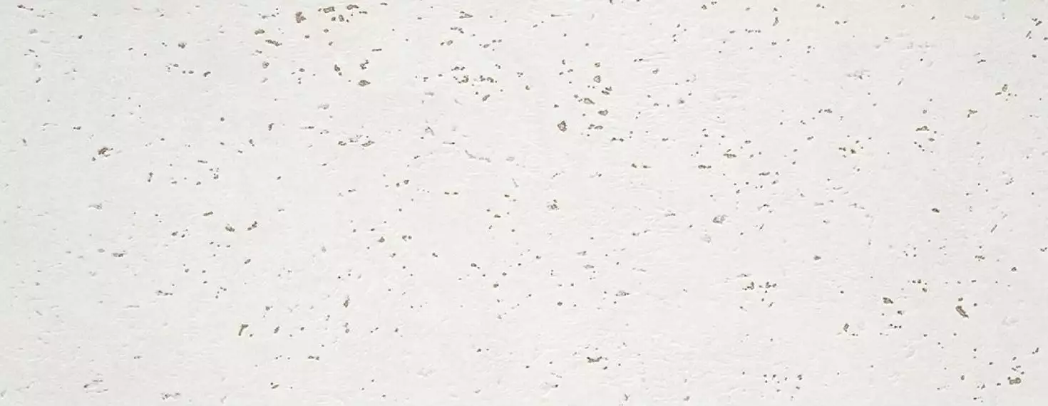 Goldstone Snow 35х90