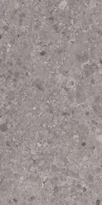 Granddust Grys 59.8x119.8