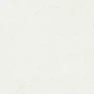 Gres P. Goldstone Snow 60x60