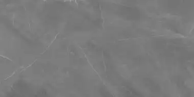 Grey Pulpis SAT 239,8x119,8
